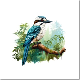 Kookaburra Posters and Art